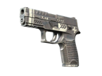 P250 | Re.built image